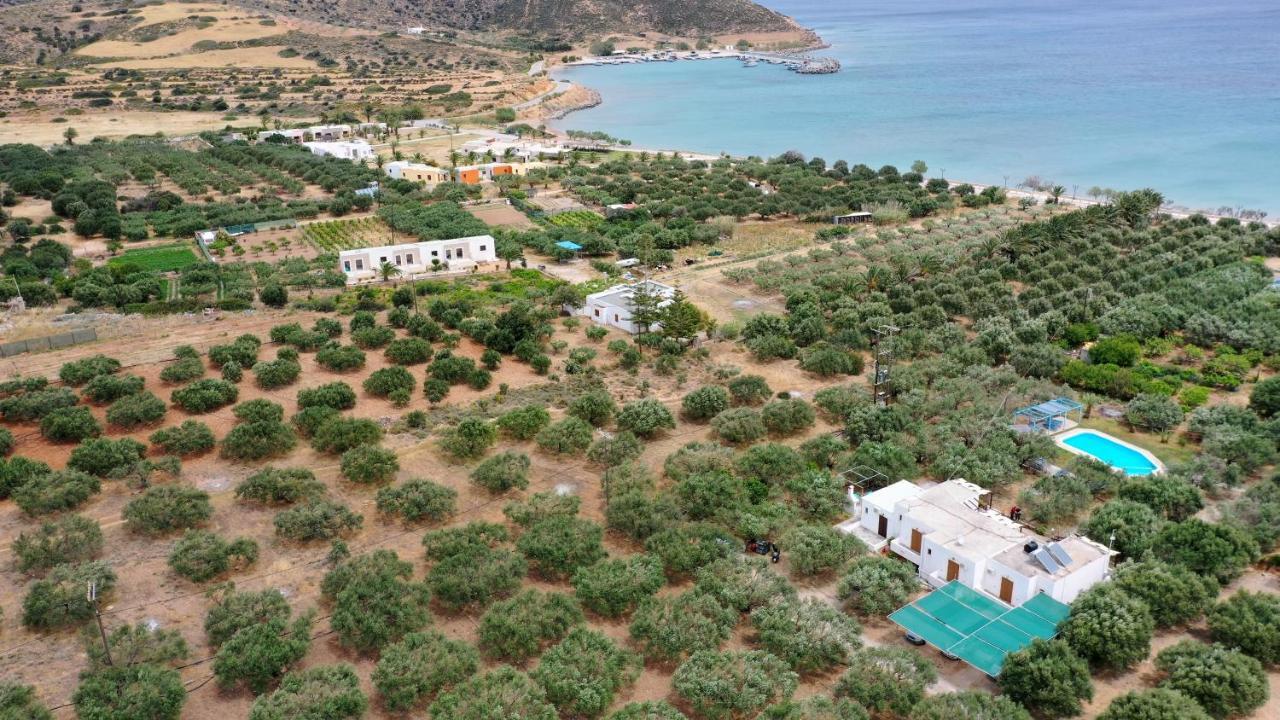 パレカストロVoula'S Casa Di Mareアパートメント エクステリア 写真
