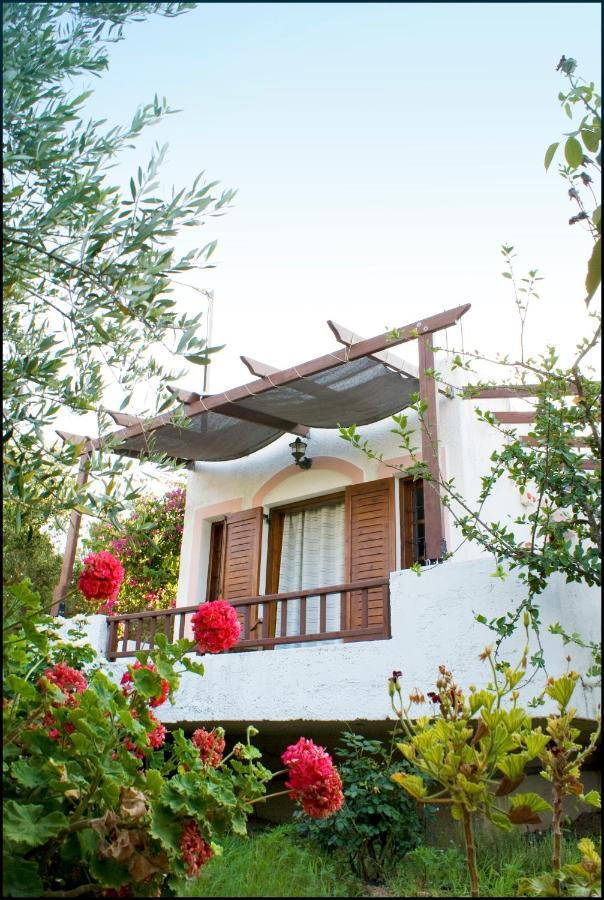 パレカストロVoula'S Casa Di Mareアパートメント 部屋 写真